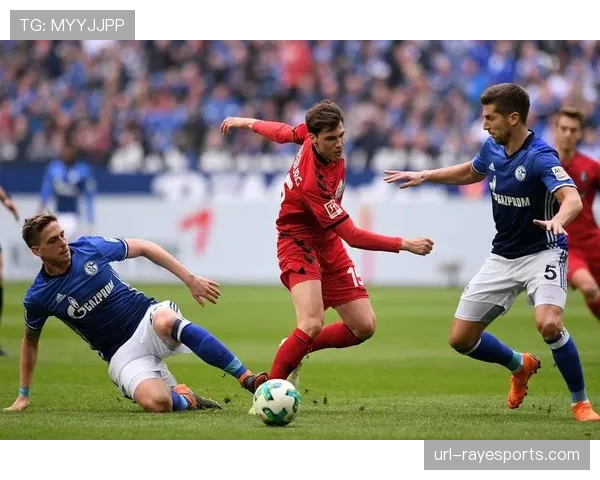 法兰克福vs弗赖堡：两队中游对决，欧战资格争夺关键战